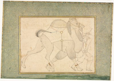 Kamel og brudgom, illustrasjon på én side, ca. 1545-1576. av Shaykh Muhammad