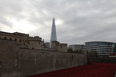 Blood Swept Lands and Seas of Red, Tower of London, 2014. av Sheldon Marshall