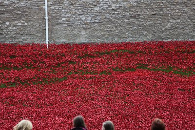 Blood Swept Lands and Seas of Red, Tower of London, 2014. av Sheldon Marshall