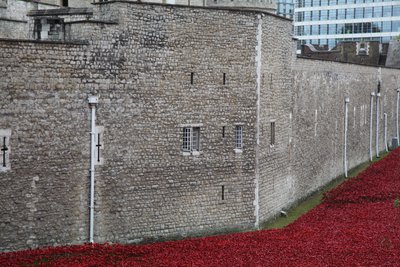 Blood Swept Lands and Seas of Red, Tower of London, 2014. av Sheldon Marshall