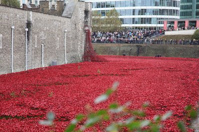 Blood Swept Lands and Seas of Red, Tower of London, 2014. av Sheldon Marshall