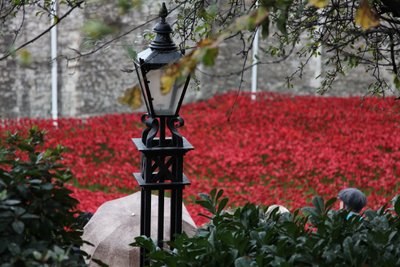 Blood Swept Lands and Seas of Red, Tower of London, 2014. av Sheldon Marshall
