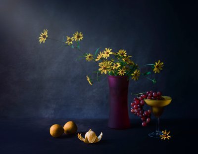 Stemningsfulle blomster og frukt av Shi &amp Wei