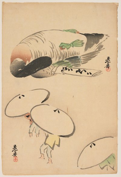  av Shibata Zeshin