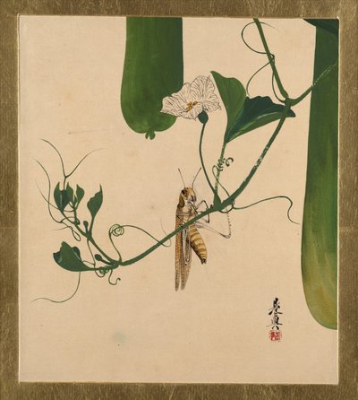 av Shibata Zeshin