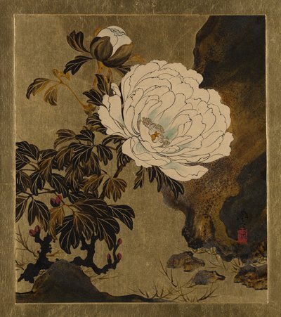  av Shibata Zeshin