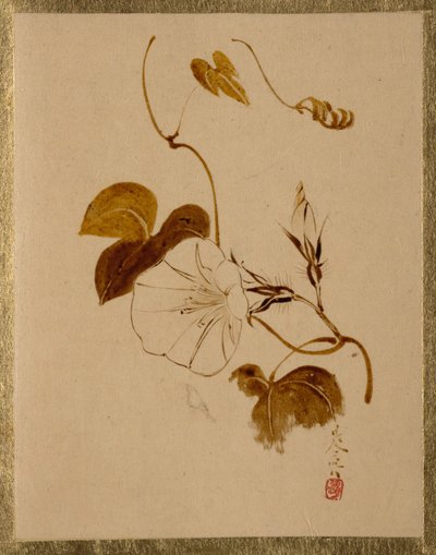  av Shibata Zeshin