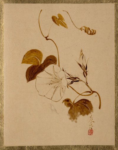 Morning Glory. av Shibata Zeshin