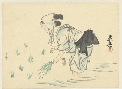 Kvinne som planter ris av Shibata Zeshin