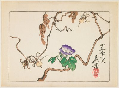  av Shibata Zeshin