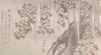 Cherry Blossoms in the Rain, 1800-tallet., 1800-tallet. av Shinsai