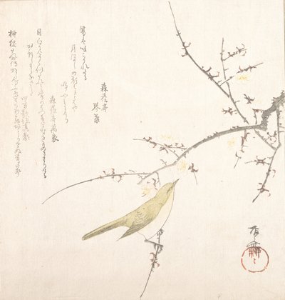 Nymåne, nattergal på en plommegren, 1800-tallet., 1800-tallet. av Shinsai