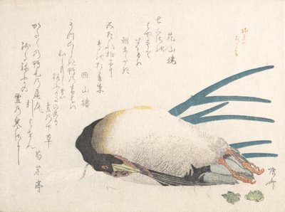 Spring Rain Collection Harusame shu, vol. 1: And og Scallions, 1810-tallet, 1810-tallet. av Shinsai