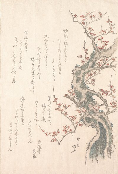 Spring Rain Collection Harusame shu, vol. 1: Plommetre i blomst, ca. 1805-10., ca. 1805-10. av Shinsai