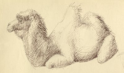 Kamel, c1951. av Shirley Markham