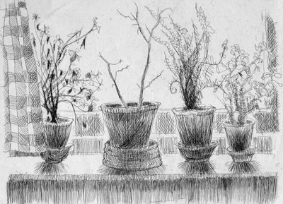 Døde planter på en vinduskarm, 1952. av Shirley Markham