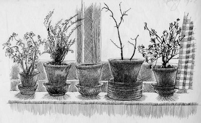 Døde planter på en vinduskarm, 1952. av Shirley Markham