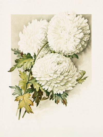  av Sidney Thomas Callowhill