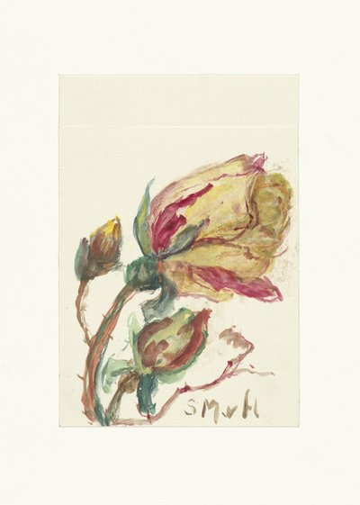 Roos av Sientje Mesdag van Houten