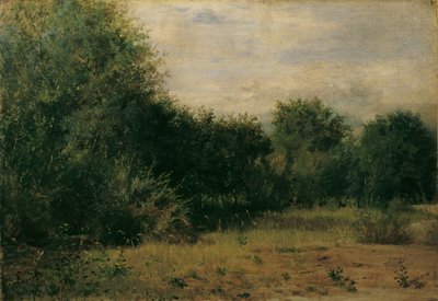 landskapsstudie av Sigmund L