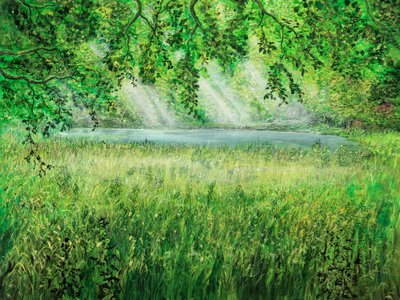 Naturlig paraply av Silvian Sternhagel