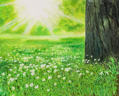 Sterk og sunn av Silvian Sternhagel