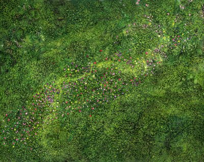 Fugleperspektiv av Silvian Sternhagel