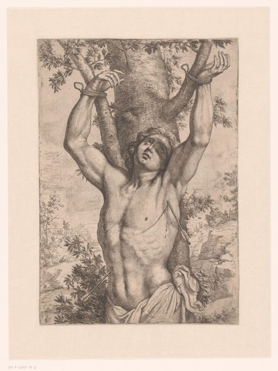 Sankt Sebastian bundet til et tre av Simon Francois