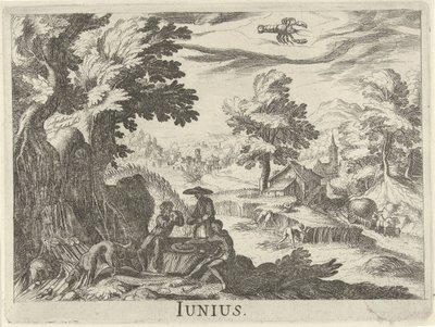juni Junius (tittel på objekt) Tolv måneder (serietittel) av Simon Frisius