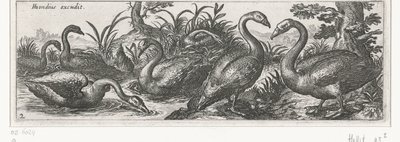 svaner Fugler og insekter (serietittel) av Simon Frisius