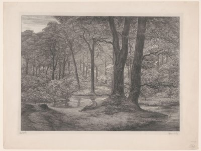 Skog med dam og liggende mann Teutoburgerskogen (skogsutsikt) (original tittel) av Simon Moulijn (signed by artist)