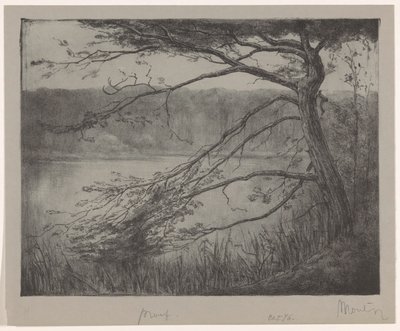 Ven ved Oisterwijk av Simon Moulijn (signed by artist)