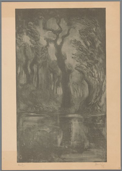 Vann i skogen Dream Forest (original tittel) av Simon Moulijn (signed by artist)