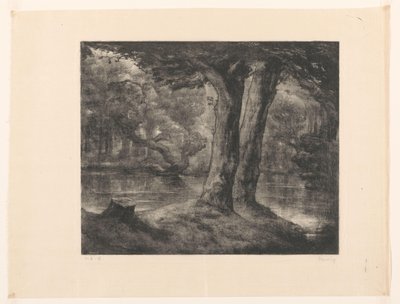 Vann i en skog Forest view (original tittel) av Simon Moulijn (signed by artist)