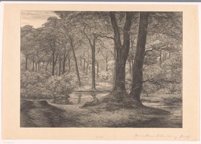 Utsikt over Hunnenschans på Veluwe The Hunnenschang (original tittel) av Simon Moulijn