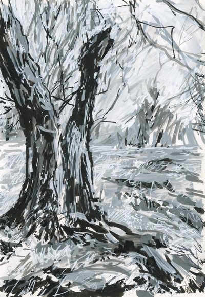 Gammelt tre, Richmond Park (akrylmalingspenner og blekk på papir) av Simon Neville