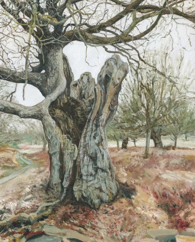  av Simon Neville