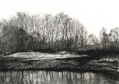 Bjørkebestand, Burying Hill Beach (blekk på papir) av Simon Neville