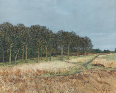  av Simon Neville