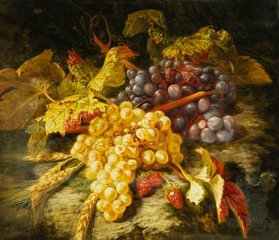 Druer, skjeggete hvete og jordbær på en steinete avsats, 1849 av Simon Saint Jean