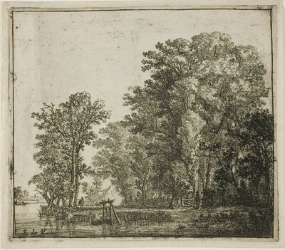 Skog nær en kanal av Simon de Vlieger