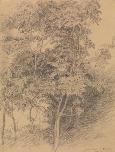 Trestudie av Sir David Wilkie