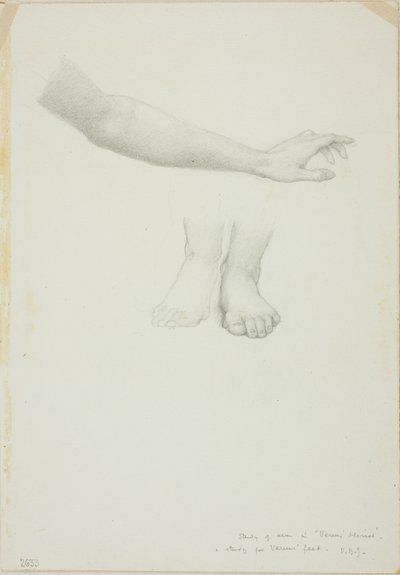 Arm og føtter, studie for Mirror of Venus av Sir Edward Burne Jones