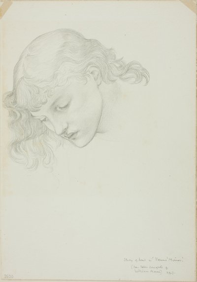 Head, Study for Mirror of Venus av Sir Edward Burne Jones