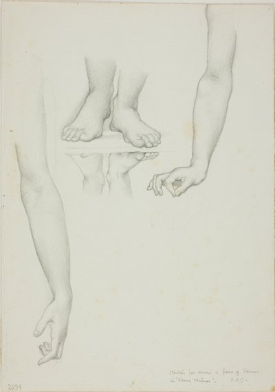 Studie for Mirror of Venus: Arms and Feet of Venus av Sir Edward Burne Jones