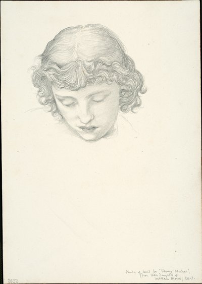 Studie for Mirror of Venus: Head av Sir Edward Burne Jones