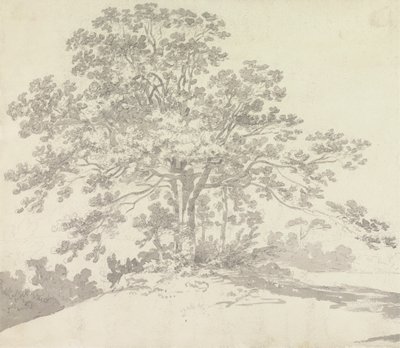 Tre av Sir George Howland Beaumont seventh Baronet