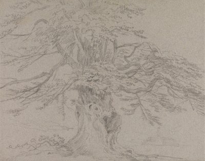 Trestudie av Sir George Howland Beaumont seventh Baronet