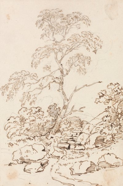 Tre for trinn av Sir George Howland Beaumont seventh Baronet
