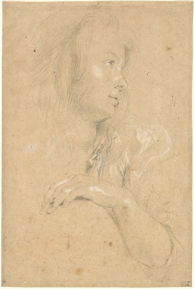 Ung kvinne i profil av Sir Peter Paul Rubens